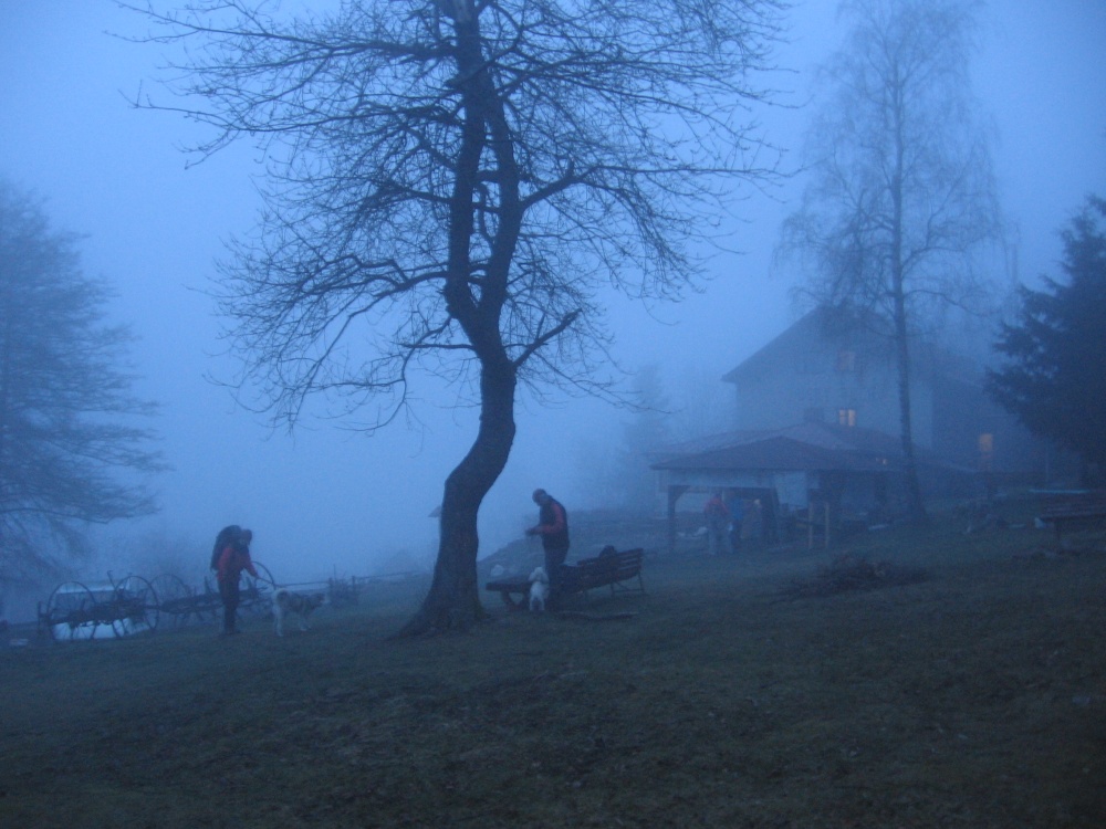 Toulovcův dogtrekking 01