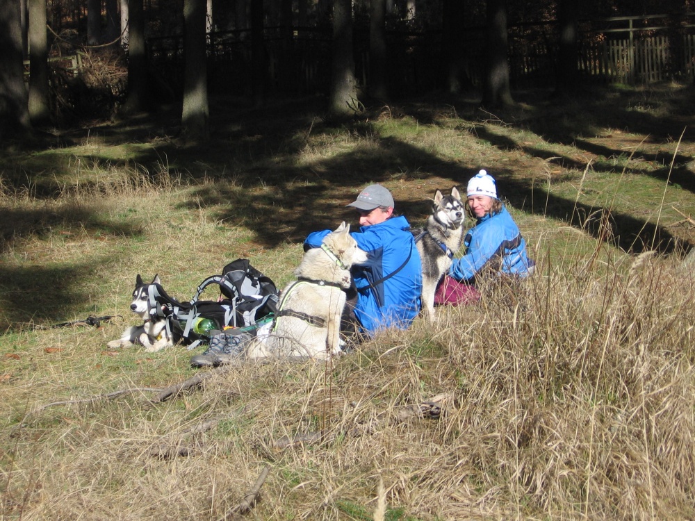 Toulovcův dogtrekking 18