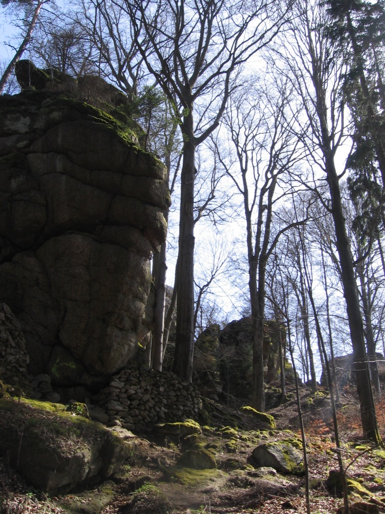 Toulovcův dogtrekking 21