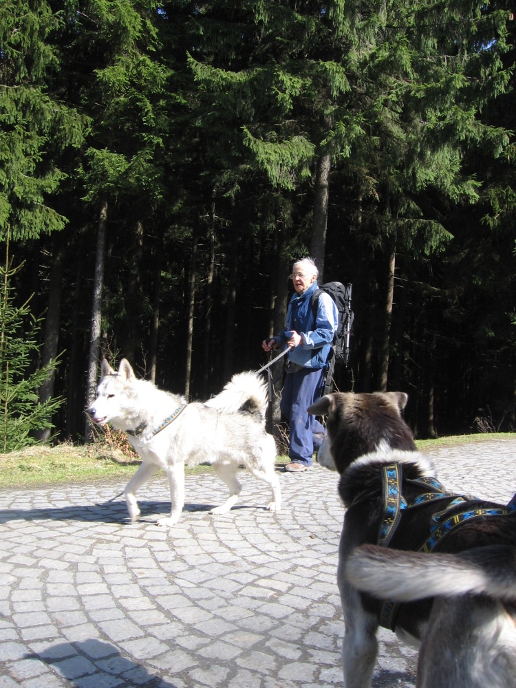 Toulovcův dogtrekking 24