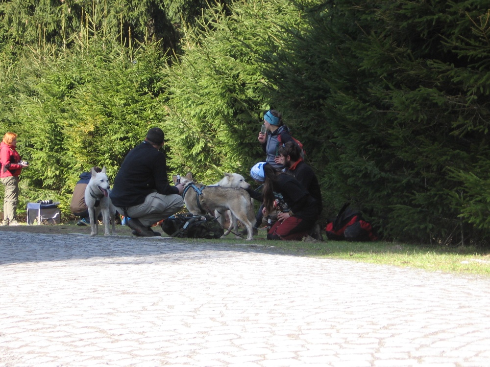 Toulovcův dogtrekking 25