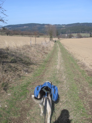 Toulovcův dogtrekking 25b