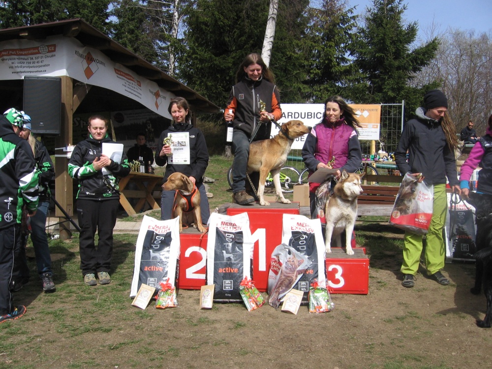 Toulovcův dogtrekking 37